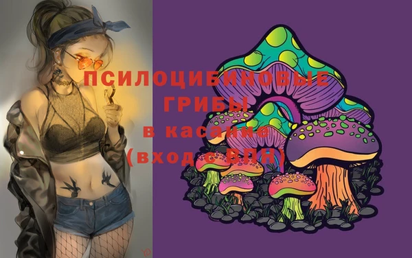 a pvp Кукмор