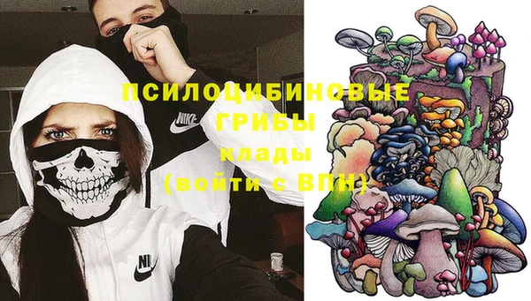 a pvp Кукмор