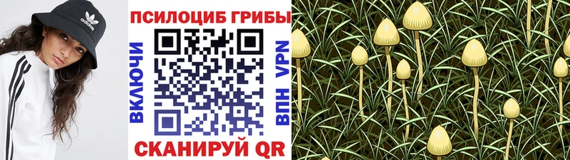 Галлюциногенные грибы Magic Shrooms  Купить закладки  Кунгур 